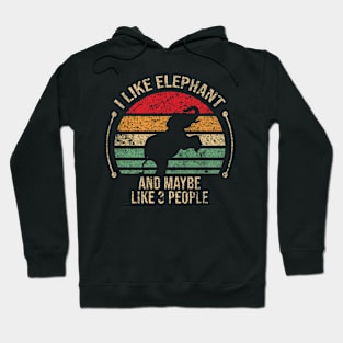 elephant lover Hoodie